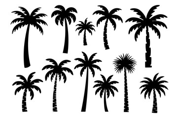 Collection of tropical palm tree silhouettes vector illustration