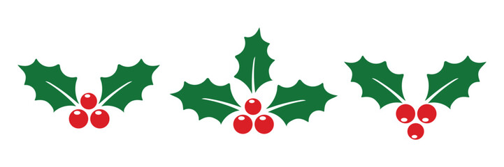 Colorful holly berry and leaf holiday decoration vector