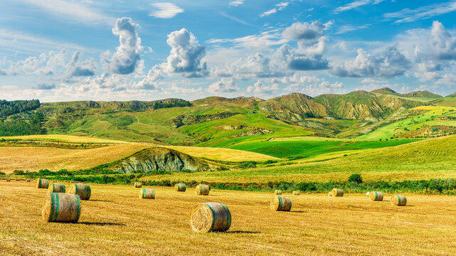 Scenic view at beautiful summer farm with a wheaten shiny field with golden wheat and sun rays, deep colorful cloudy sky on background, rows leading far away, valley landscape - Powered by Adobe