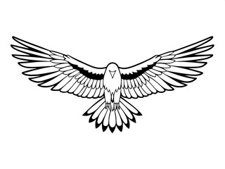 Obraz premium eagle vector illustration