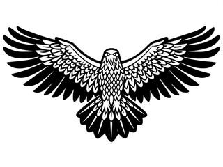 Obraz premium eagle with wings