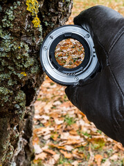 Autumn colorful blurred fallen leaves seen through small lens, close-up with old bark tree trunk, image depicts late autumnal nature in public park, selective focus on lens, bark and hand with gloves