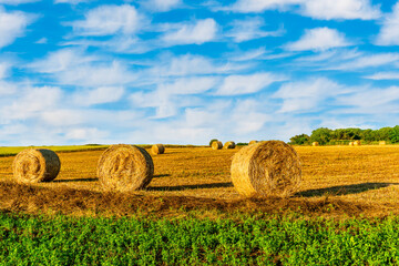 beautiful rustic landscape of scenic evening sunset in agricultural field with yellow hay stacks, golden grass, green trees and amazing cloudy sky on background