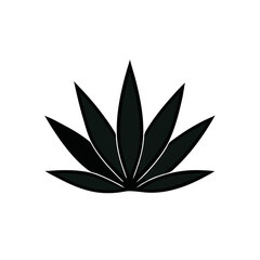 vector illustration of a leaf