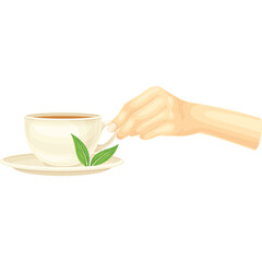 Close Up Of A Hand Gently Holding A White Tea Cup With Green Leaves On A Saucer Against A Transparent Background Showing A Warm Beverage And Natural Elements