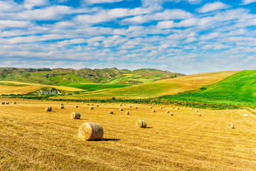summer landscape of a beautiful wheat field with hay stacks in a meadow of rural farmland and green hills above the grassland. Countryside panorama of scenic cloudy sunset on farm in harvest season