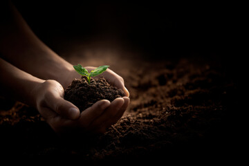 A sustainable future concept featuring green plants and eco friendly energy in nature. Symbols of growth, the environment, and renewable life.
