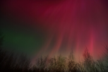 A vibrant, colorful display of the Aurora Borealis  over Alaska from  the severe geomagnetic storm of Veterans Day 2025.