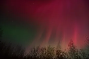 Fotobehang Bordeaux A vibrant, colorful display of the Aurora Borealis  over Alaska from  the severe geomagnetic storm of Veterans Day 2025.  © JT Fisherman