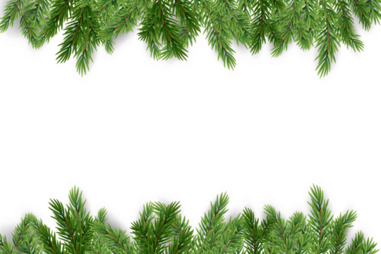 Christmas tree border isolated on transparent background, Xmas spruce, green fir pine branches