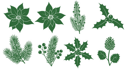 Collection of green christmas botanical elements including poinsettias pine needles holly and berries