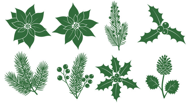 Collection of green christmas botanical elements including poinsettias pine needles holly and berries