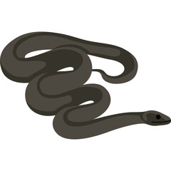 Dark Brown Snake Coiled and Curled on a Transparent Background Illustration