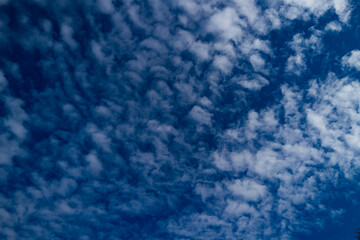 Sky panoramic view. Puffy white clouds background. Cumulus clouds floating above. Beautiful weather sky. Light fluffy clouds in air. Natural blue sky. Peaceful open sky view. Soft cumulus clouds.