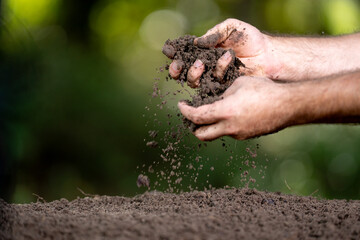 Soil concept. Hands holding fertile soil. Checking soil. Dirty clay and organic compost. Eco farming with natural soil. Humus quality. Farmer testing compost.