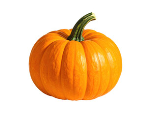 Bright orange pumpkin with green stem on black background