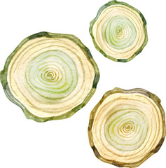 Obraz premium Watercolor illustration of wooden tree slices with natural green and beige tones. Perfect for Christmas crafts, rustic wedding design, eco-style branding, and woodland-themed decorations