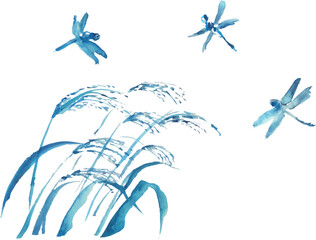 ススキとトンボのイラスト　ベクター © yoko obata