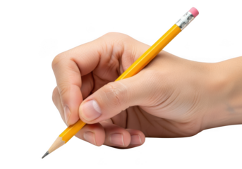A human hand holding a yellow graphite pencil with a pink eraser poised to write or draw on a transparent background isolated on transparent background