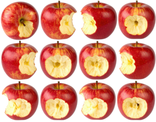 Eaten red apples grid. Bite marks show decreasing sizes