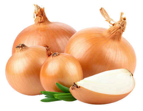 Group of golden onions, one sliced to show layers