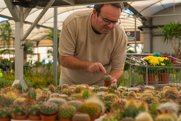 Man shopping for plants in garden center, choosing small cactus for new hobby, enjoying green environment