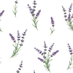 Naklejka premium Lavender flowers seamless pattern watercolor illustration. Hand drawn organic Lavandula herb stem botanical illustration. Medicinal and aroma lavender herb stems seamless pattern on white background