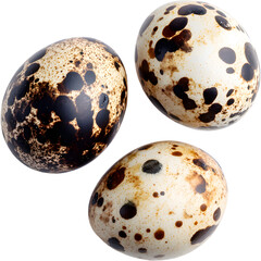 Fresh quail eggs isolated on transparent background, perfect for farm, food, and nature visuals..