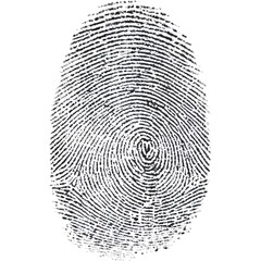 Black ink fingerprint isolated on transparent background, perfect for security, identity, and forensic visuals..