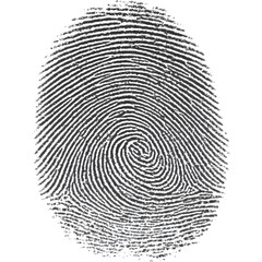 Black ink fingerprint isolated on transparent background, perfect for security, identity, and forensic visuals..