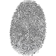 Black ink fingerprint isolated on transparent background, perfect for security, identity, and forensic visuals..