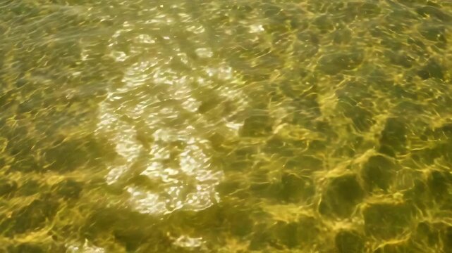 Sunlight reflecting on rippling water surface, abstract background