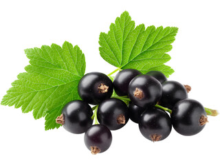 Black currant berries with leaves isolated on transparent background, perfect for fruit and nutrition visuals..