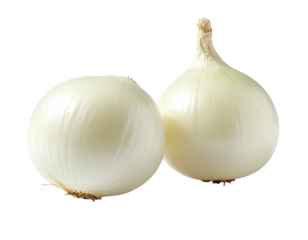 Two white onions with papery skin on a black backdrop