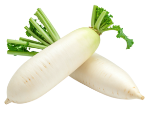 Two white daikon radishes crossed with green tops