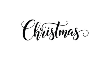 Elegant christmas calligraphy with delicate snowflake accents on a white background