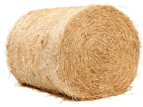 Straw bale isolated on transparent background, perfect for agriculture, farm, and harvest visuals..