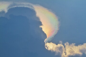 iridescent appearance appears in the afternoon