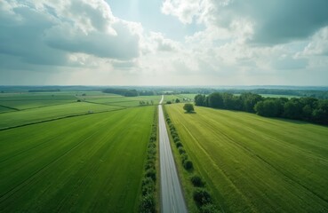Aerial view of long country road cutting through vast green farm fields. Rich trees line road and border distant forests. Sky has clouds with sunbeams over quiet rural landscape in summer season.