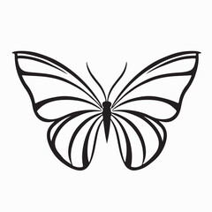 Elegant Butterfly Logo Design Vector on white background