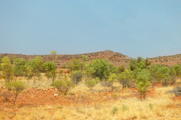 Savannah bushland in the Northern Territory of Australia, showing the sparse shrubs and yellow grass against a flat landscape