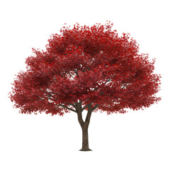 Vibrant scarlet tree with translucent backdrop showcasing intricate branching and texture detail