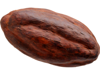Realistic cocoa bean pod isolated on transparent background, symbolizing chocolate production and tropical agriculture.