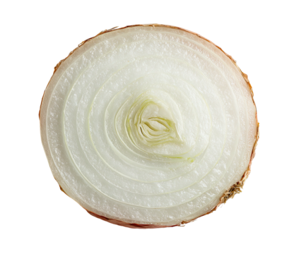 Onion slice reveals concentric layers, isolated on black