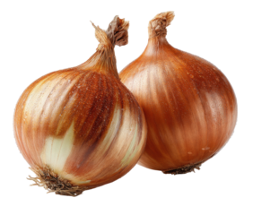 Two brown onions with dry skins, one facing forward