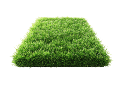 Lush, square patch of green grass against a black backdrop