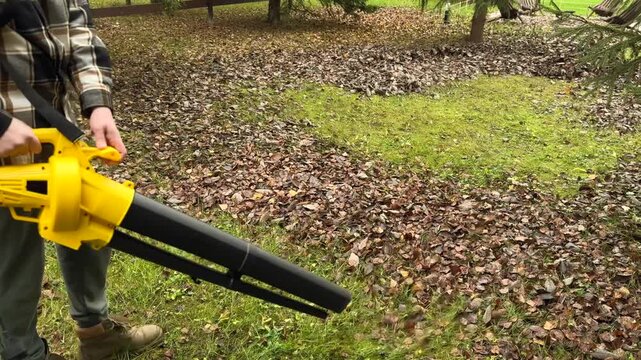 Cordless Leaf Blowers. handheld, cordless, electric leaf blower in a garden, selective focus. Autumn, fall gardening works in a backyard, on a lawn, grass. Garden works.

