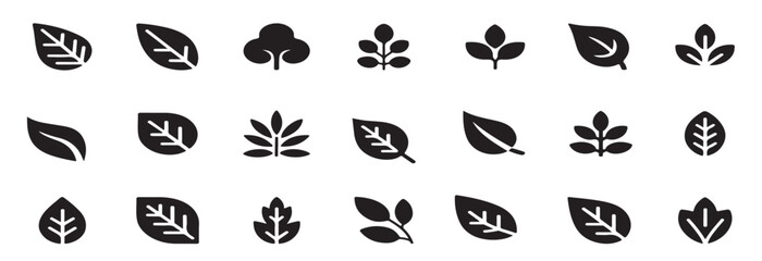 collection of thirty black and white traced leaf and plant