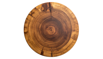 Wooden slice tree rings, knot, cracks
