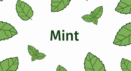 Seamless pattern of mint leaves with transparent background